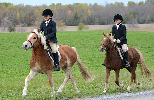 children riding horses
