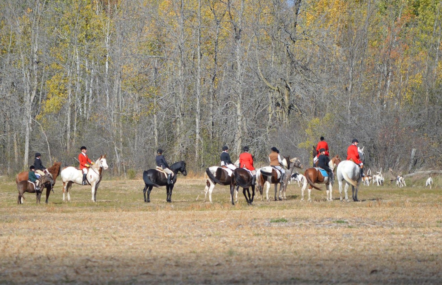 Hunt scene4_crop ottawa valley hunt riding horses in fall
