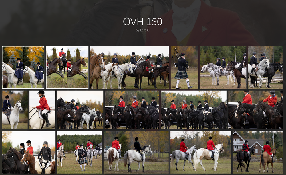 Alegre_150th tile Alegre's 150th album