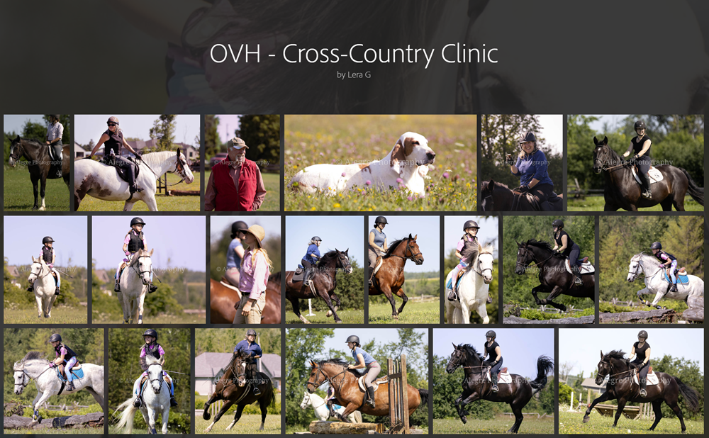 Alegre_cc clinic tile Alegre's cross-country clinic album