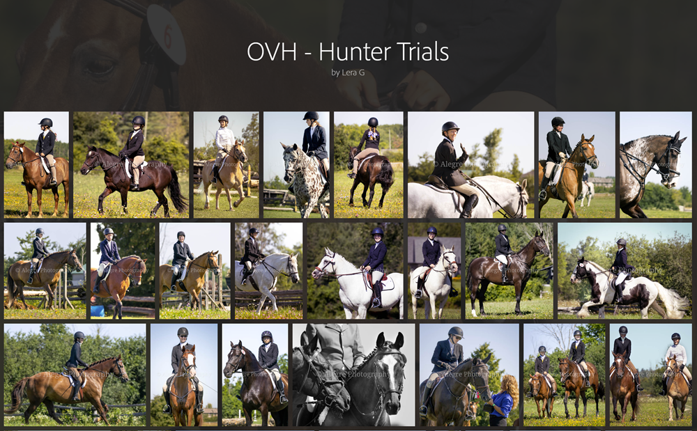 Alegre_hunter trials tile Alegre's hunter trials album