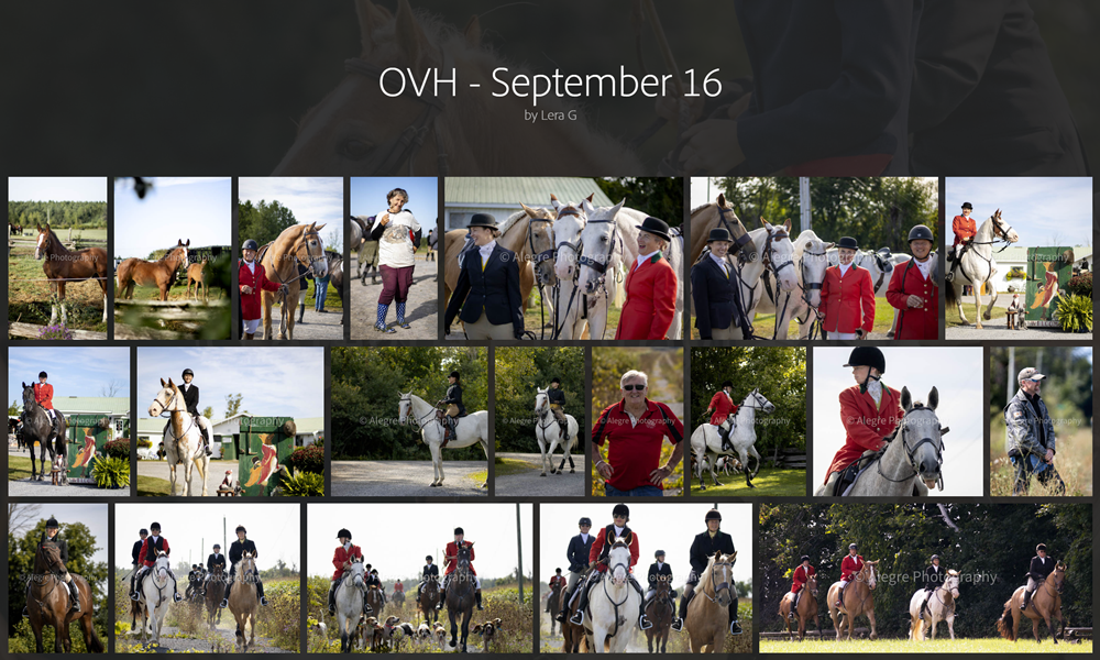 Alegre_opening hunt tile Alegre's opening hunt album