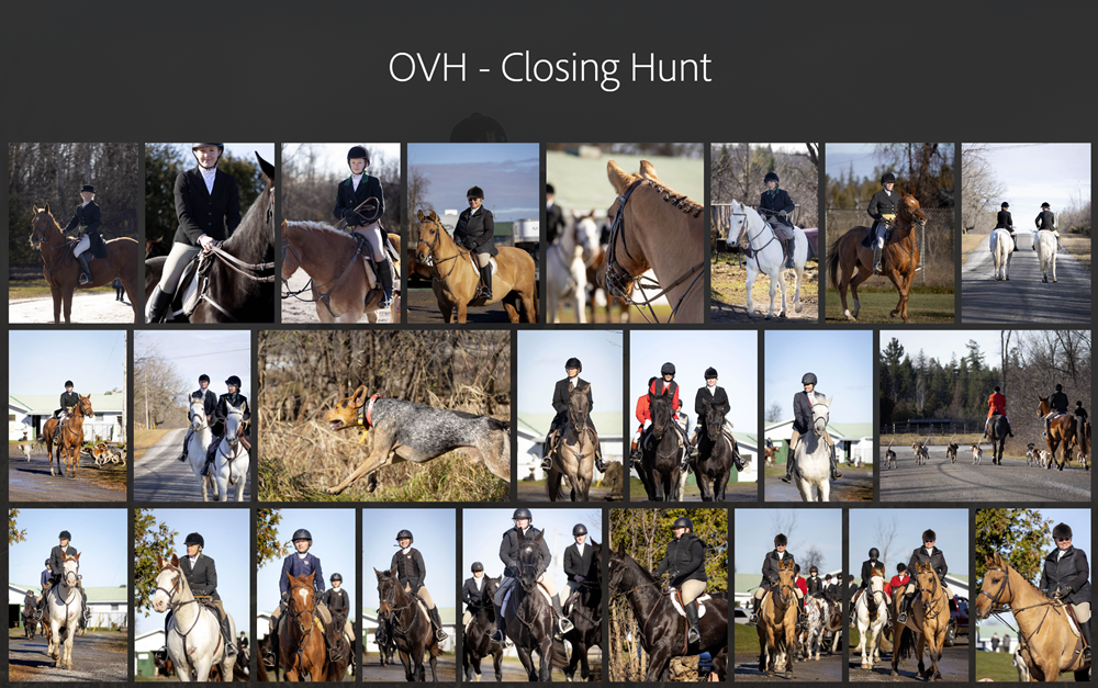 Alegre_closing hunt tile Alegre's closing hunt album