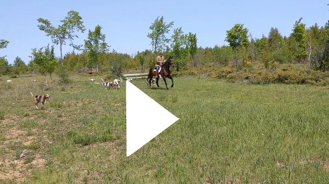 LTH clinic video thumbnail